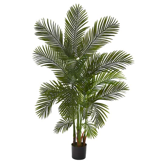 6ft. Potted Areca Palm Tree